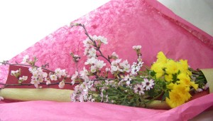 桜とイエローサルタンの花束