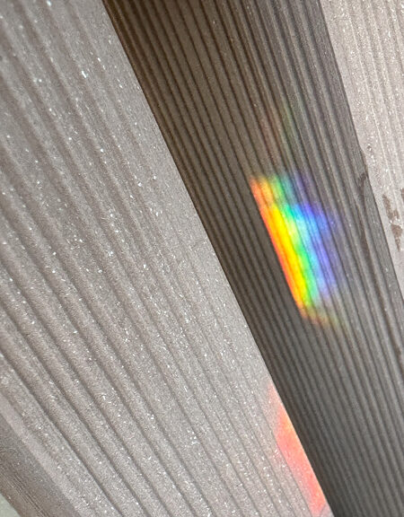虹
