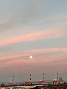 十五夜お月さん